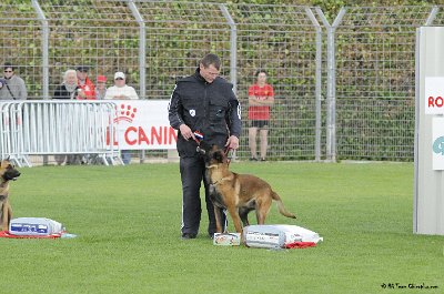 Remise des Prix 166.JPG - CHIENPLUS.COM
